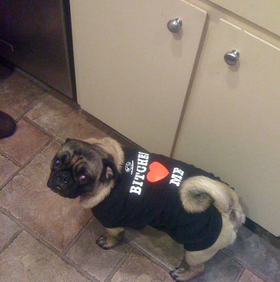 Meet your Posher, Scott - Picture 1 of 1